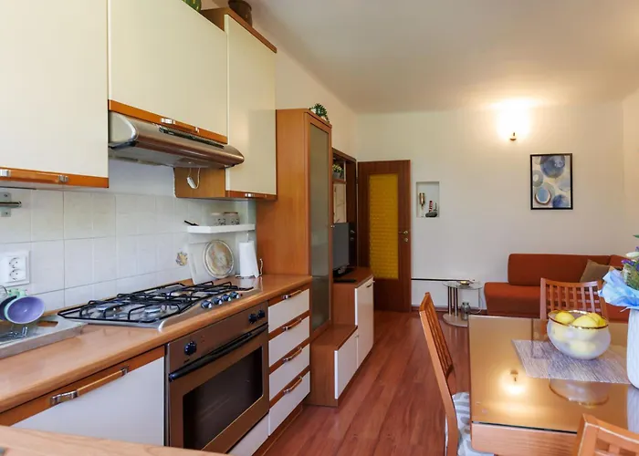 Cozy Nika 스플리트